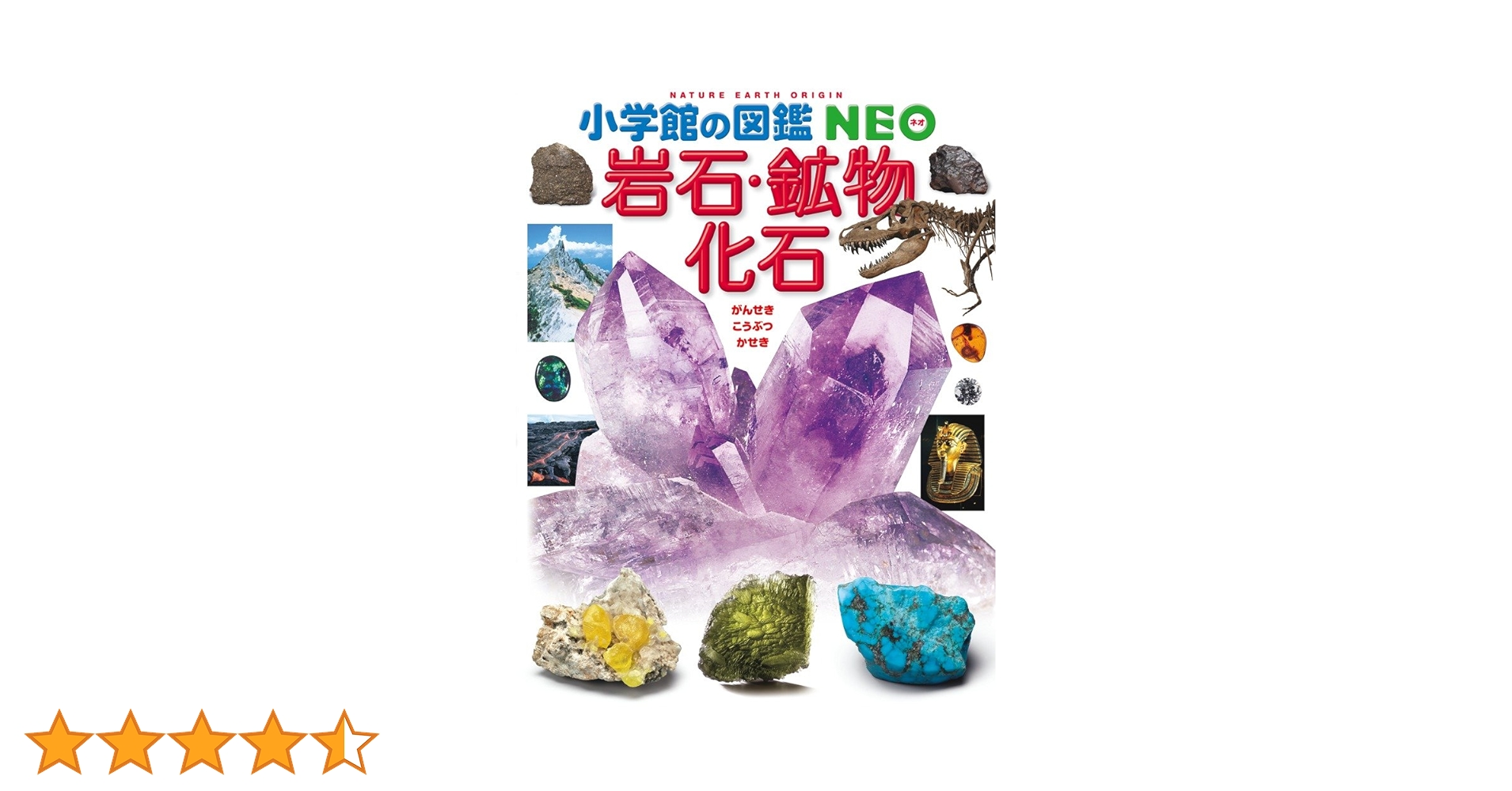 小学校の図鑑NEO 動物・岩石・鉱物・深海生物・絵画 セット 小学館の図鑑NEO 深海生物 DVDつき (小学館の図鑑・NEO 26